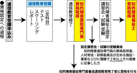 資格認定への過程